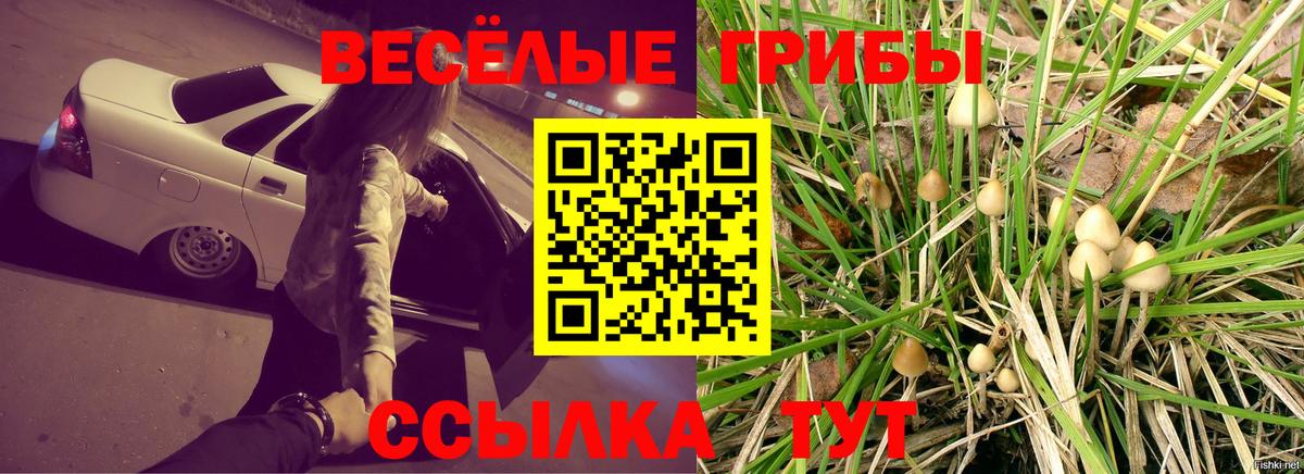 Псилоцибиновые грибы MAGIC MUSHROOMS  Вход с VPN  Псилоцибиновые грибы мицелий  Новокуйбышевск 