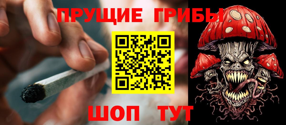 Галлюциногенные грибы GOLDEN TEACHER Новокуйбышевск